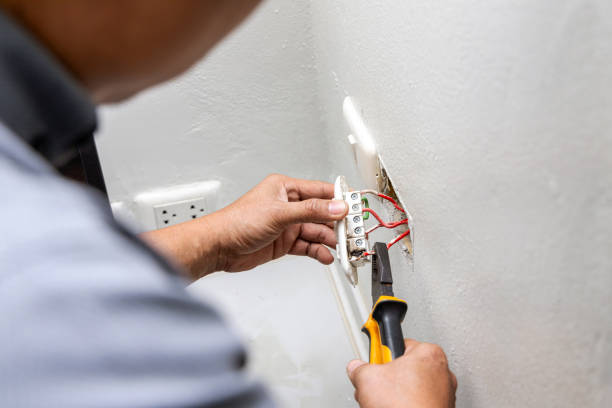Best Ceiling Fan Installation Electrician  in Pharr, TX