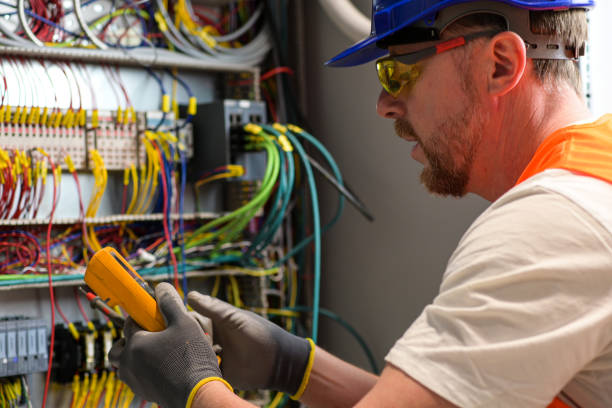 Best Electric Panel Repair  in Pharr, TX